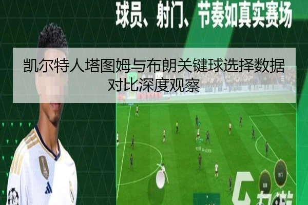 凯尔特人塔图姆与布朗关键球选择数据对比深度观察
