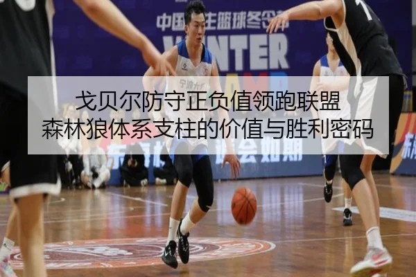 戈贝尔防守正负值领跑联盟 森林狼体系支柱的价值与胜利密码
