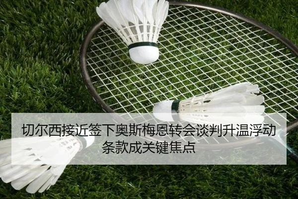 切尔西接近签下奥斯梅恩转会谈判升温浮动条款成关键焦点